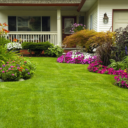 Landscaping_02.jpg Landscaping_02.jpg