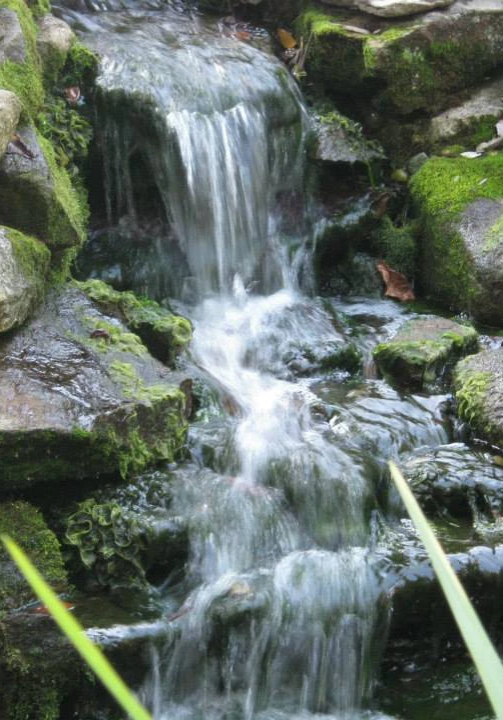 Ponds-and-Waterfalls_35.png Ponds-and-Waterfalls_35.png