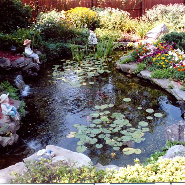 Ponds-and-Waterfalls_47.png Ponds-and-Waterfalls_47.png