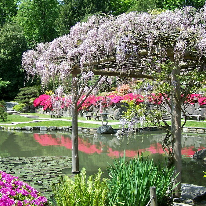 japanese-garden.jpg japanese-garden.jpg